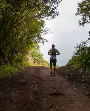 LES PLUS BEAUX TREKS : LA TRAVERSÉE DE LA RÉUNION