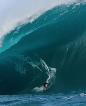 Surf, le feu sacré