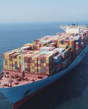 Cargos, dans les soutes de la mondialisation