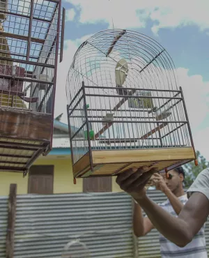 L’oiseau qui chante à l’oreille des hommes ©Paramonti Productions