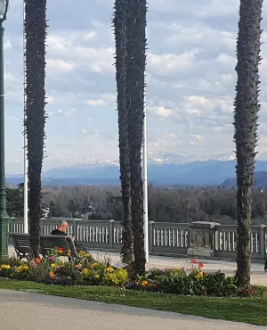 Bis le magazine de la curiosité à Pau