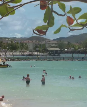 Caraibes