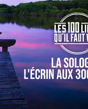 La Sologne, l'écrin aux trois mille étangs