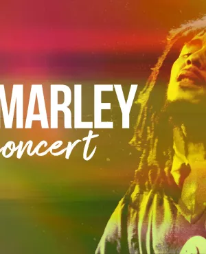 Bob Marley - Live at the Rainbow Theatre de Londres
