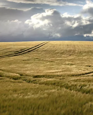 AGRICULTURE PICARDIE
