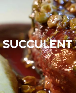 Succulent