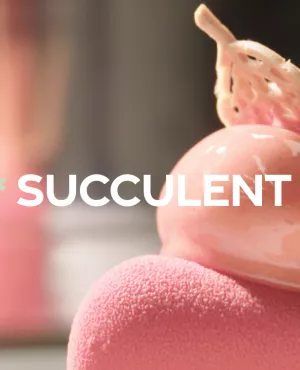 Succulent ! - La fraise - CREDIT FTV