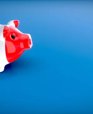 Région, les nouveaux défis : Dimanche en politique