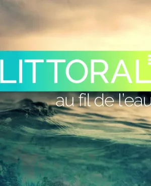 Littoral au fil de l'eau
