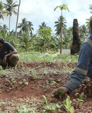 Les pionnières de Mayotte