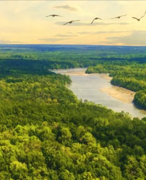 France le fabuleux voyage Pour cette soirée événement à l’occasion de la Fête de la Science, le réseau La 1ère vous propose de remonter le temps et ainsi découvrir la fabuleuse histoire naturelle de la France grâce à de spectaculaires effets spéciaux.
