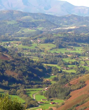 Txirrita Txirrita