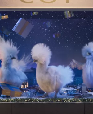 Habillage Poules France 3