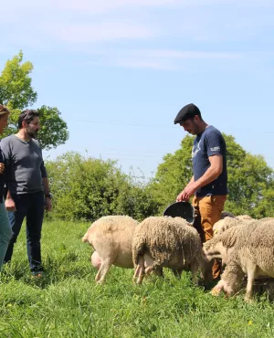Envie dehors ! Escapade au pays de Loué ©Clémence Laroque
