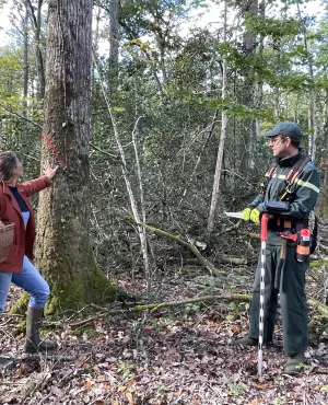 Envie dehors ! A l’orée de la forêt du Gâvre Envie dehors ! A l’orée de la forêt du Gâvre