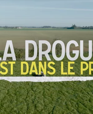 La drogue est dans le pré