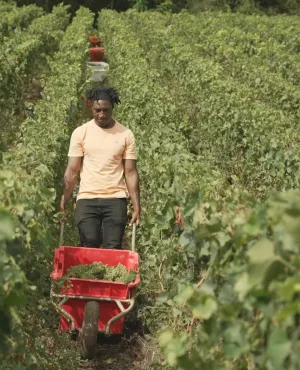 LES GENS DES HAUTS SUR LE CHAMPAGNE