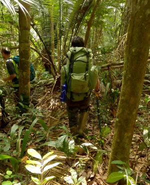 Les plus beaux treks : Guyane