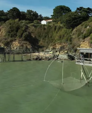 Pêcheries de Pornic 