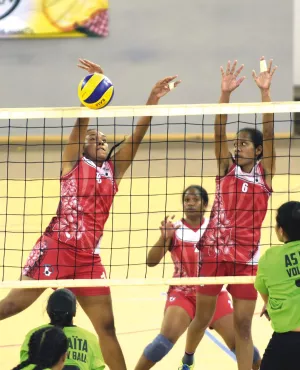 Finales de Volley territoriales