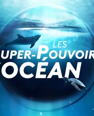 les super-pouvoirs de l'océan