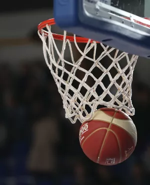 Basket Basket image maxppp usage unique Nouvelle aquitaine