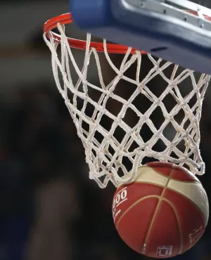 PHOTO BASKET