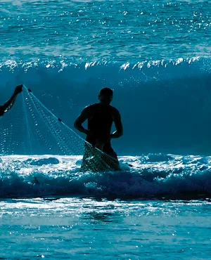 Rahui, le lagon en partage