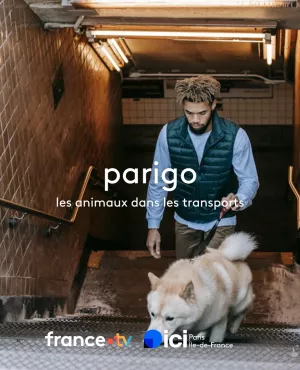 Les animaux dans transports