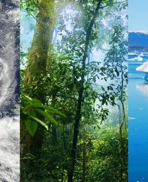 © Pixabay Urgence climatique