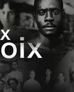 Webdocumentaire : La voix des sans voix