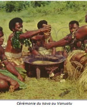 Le voyage du Kava
