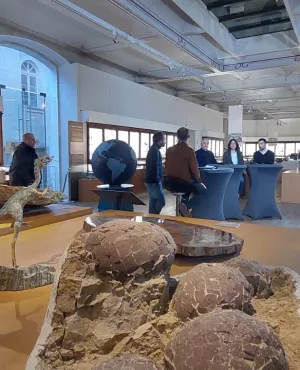 DEP - Muséum d'histoire naturelle de Nantes DEP - Muséum d'histoire naturelle de Nantes