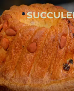 Succulent ! La brioche - crédit FTV un kougelhopf de l'émission Succulent !