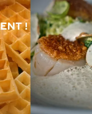 la gaufre liégeoise, bruxelloise, des Flandres, sèche, un plaisir succulent !