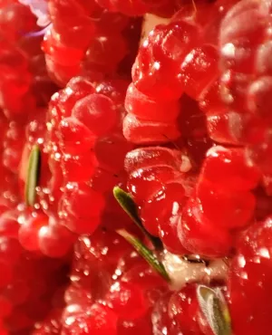 Framboises et romarin  Framboises et romarin