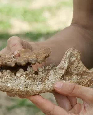 Gouffres à fossiles du Quercy