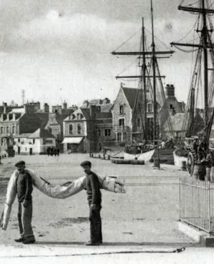 Dans le sillage des Terre-Neuvas 