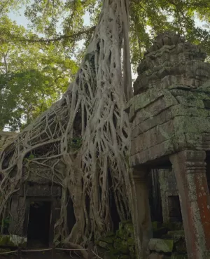 Angkor et les mystères de l'empire Khmer © Windfalls Film