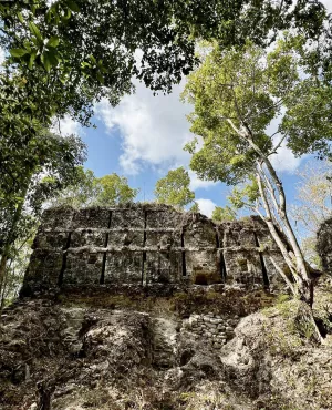 NAACHTUN LE ROYAUME MAYA REVELE