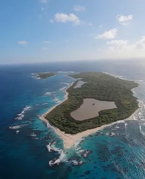 La vie sauvage des monuments aux Petites Antilles
