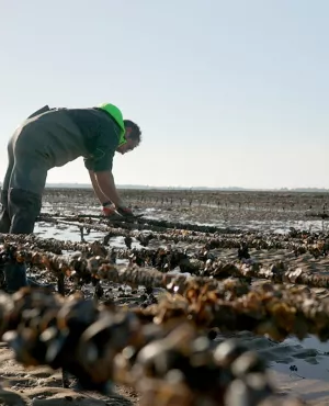 Quand le travail rend malade