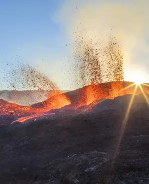 drda ile de la réunion