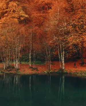 © Hope production - Calt production Voir l'automne, une saison en France