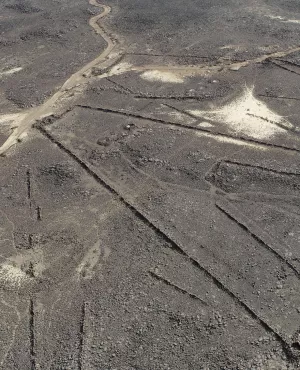 Le mystère des cerfs-volants du désert