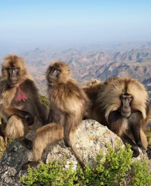 LE ROYAUME DES NUAGES