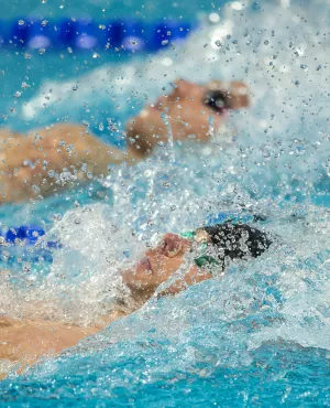 Championnats du monde de natation