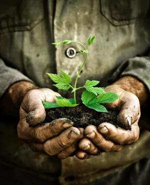 © Getty Images/iStockphoto Illustration agriculture