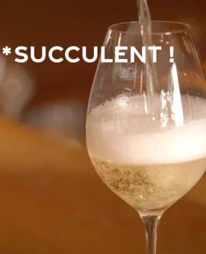 Succulent ! - Le champagne - CREDIT FTV