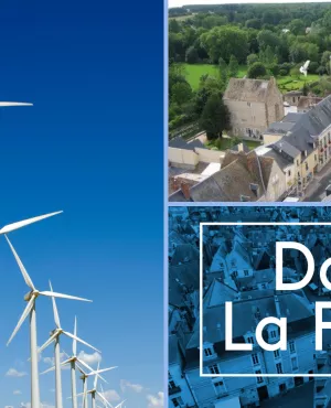 DLP novembre